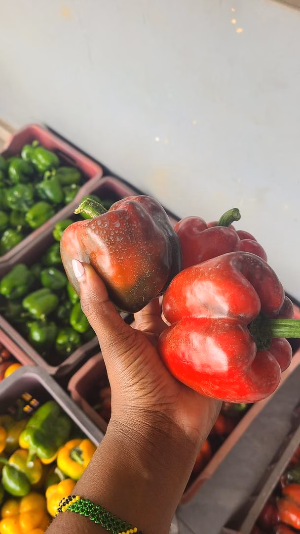 Bell pepper - Image 2