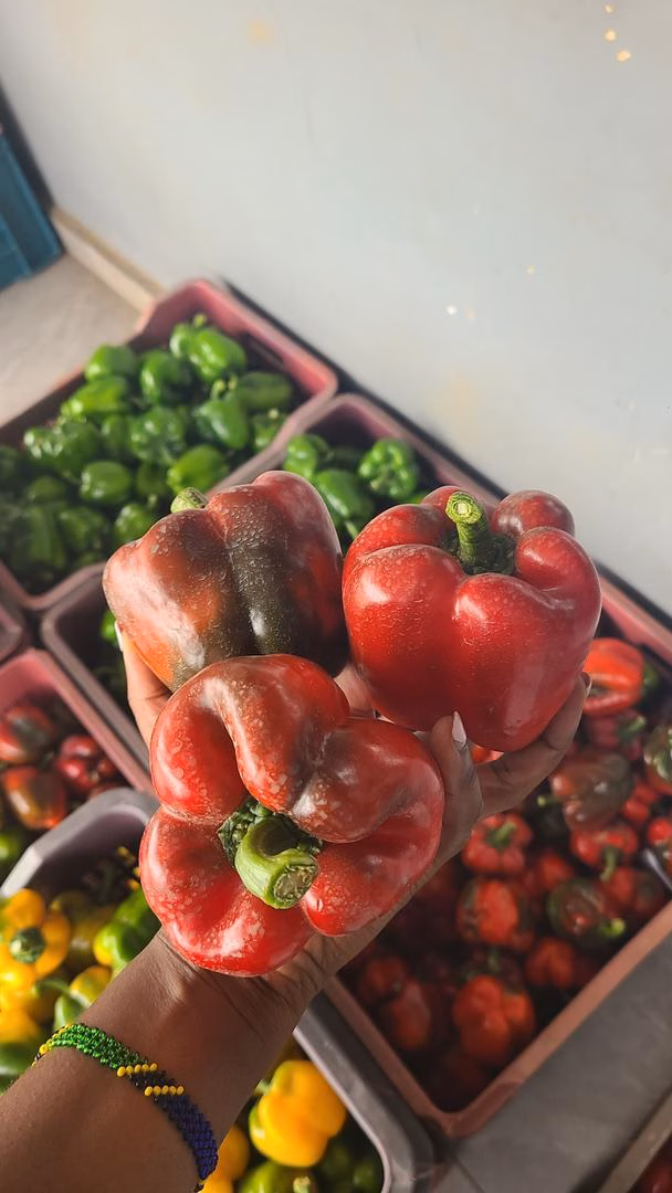 Bell pepper