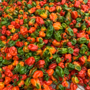 Habanero and super habanero