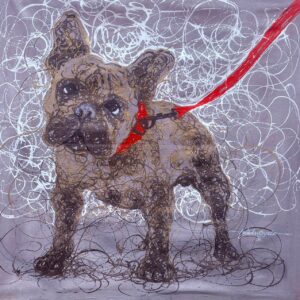 My Pet Dog