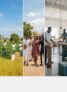 Beyond Oil: How Nigeria’s Real Wealth Lies in Its Indigenous Industries
